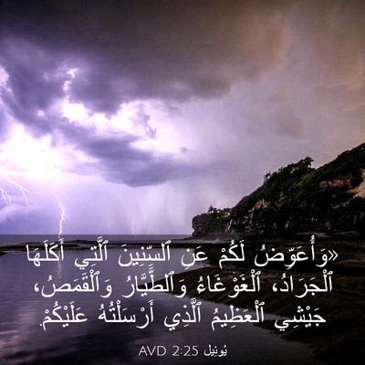 Picture 03 - يُوئِيل 2:25 AVD - «وَأُعَوِّضُ لَكُمْ عَنِ - Bible Verse Picture