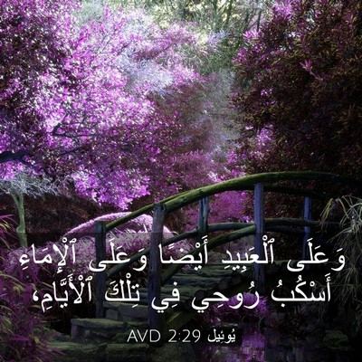 Picture 03 - يُوئِيل 2:29 AVD - وَعَلَى ٱلْعَبِيدِ - Bible Verse Picture