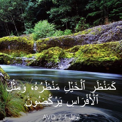 Picture 03 - يُوئِيل 2:4 AVD - كَمَنْظَرِ ٱلْخَيْلِ - Bible Verse Picture