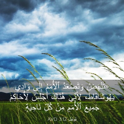 Picture 03 - يُوئِيل 3:12 AVD - «تَنْهَضُ وَتَصْعَدُ - Bible Verse Picture