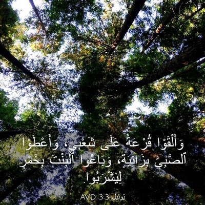 Picture 03 - يُوئِيل 3:3 AVD - وَأَلْقَوْا قُرْعَةً - Bible Verse Picture