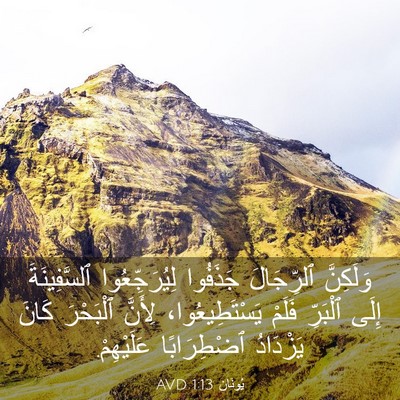 Picture 03 - يُونَان 1:13 AVD - وَلَكِنَّ ٱلرِّجَالَ - Bible Verse Picture