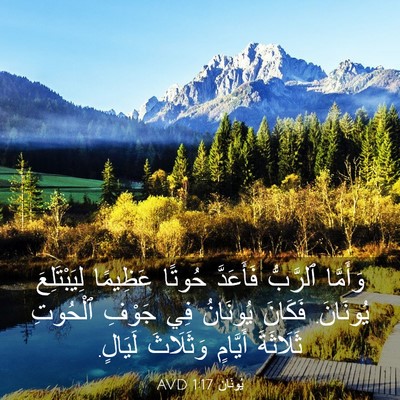 Picture 03 - يُونَان 1:17 AVD - وَأَمَّا ٱلرَّبُّ - Bible Verse Picture