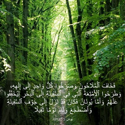 Picture 03 - يُونَان 1:5 AVD - فَخَافَ ٱلْمَّلَاحُونَ - Bible Verse Picture