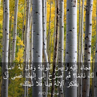 Picture 03 - يُونَان 1:6 AVD - فَجَاءَ إِلَيْهِ رَئِيسُ - Bible Verse Picture