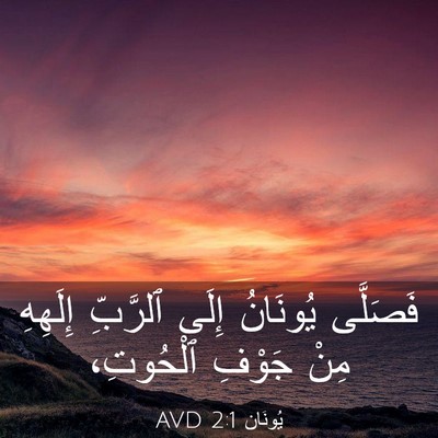 Picture 03 - يُونَان 2:1 AVD - فَصَلَّى يُونَانُ إِلَى - Bible Verse Picture