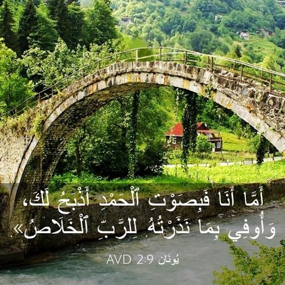 Picture 03 - يُونَان 2:9 AVD - أَمَّا أَنَا فَبِصَوْتِ - Bible Verse Picture