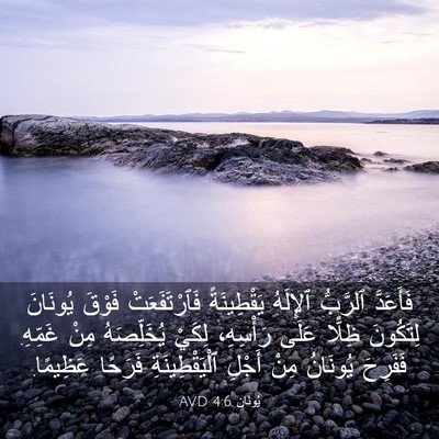 Picture 03 - يُونَان 4:6 AVD - فَأَعَدَّ ٱلرَّبُّ - Bible Verse Picture