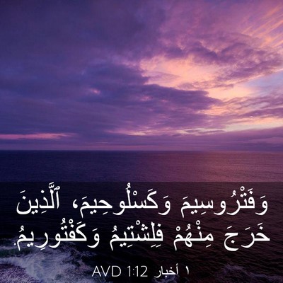 Picture 03 - ١ أخبار 1:12 AVD - وَفَتْرُوسِيمَ - Bible Verse Picture