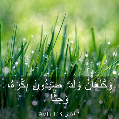 Picture 03 - ١ أخبار 1:13 AVD - وَكَنْعَانُ وَلَدَ: - Bible Verse Picture
