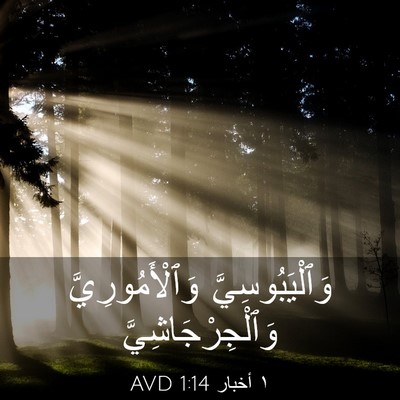 Picture 03 - ١ أخبار 1:14 AVD - وَٱلْيَبُوسِيَّ - Bible Verse Picture