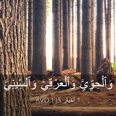 Picture 03 - ١ أخبار 1:15 AVD - وَٱلْحِوِّيَّ - Bible Verse Picture