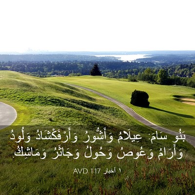 Picture 03 - ١ أخبار 1:17 AVD - بَنُو سَامَ: عِيلَامُ - Bible Verse Picture