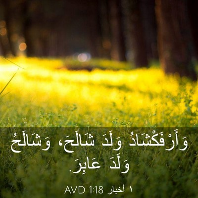 Picture 03 - ١ أخبار 1:18 AVD - وَأَرْفَكْشَادُ وَلَدَ - Bible Verse Picture