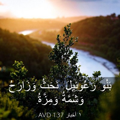 Picture 03 - ١ أخبار 1:37 AVD - بَنُو رَعُوئِيلَ: نَحَثُ - Bible Verse Picture