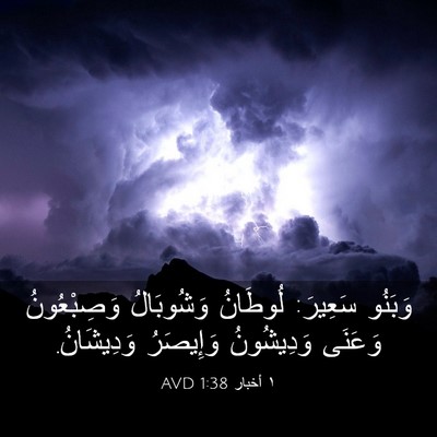 Picture 03 - ١ أخبار 1:38 AVD - وَبَنُو سَعِيرَ: لُوطَانُ - Bible Verse Picture