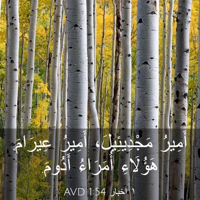 Picture 03 - ١ أخبار 1:54 AVD - أَمِيرُ مَجْدِيئِيلَ، - Bible Verse Picture