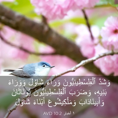 Picture 03 - ١ أخبار 10:2 AVD - وَشَدَّ - Bible Verse Picture