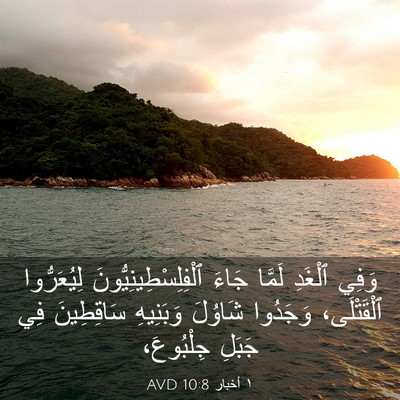 Picture 03 - ١ أخبار 10:8 AVD - وَفِي ٱلْغَدِ لَمَّا جَاءَ - Bible Verse Picture