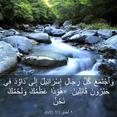 Picture 03 - ١ أخبار 11:1 AVD - وَٱجْتَمَعَ كُلُّ رِجَالِ - Bible Verse Picture