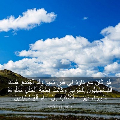 Picture 03 - ١ أخبار 11:13 AVD - هُوَ كَانَ مَعَ دَاوُدَ - Bible Verse Picture