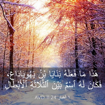 Picture 03 - ١ أخبار 11:24 AVD - هَذَا مَا فَعَلَهُ - Bible Verse Picture