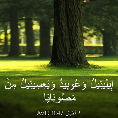 Picture 03 - ١ أخبار 11:47 AVD - إِيلِيئِيلُ وَعُوبِيدُ - Bible Verse Picture