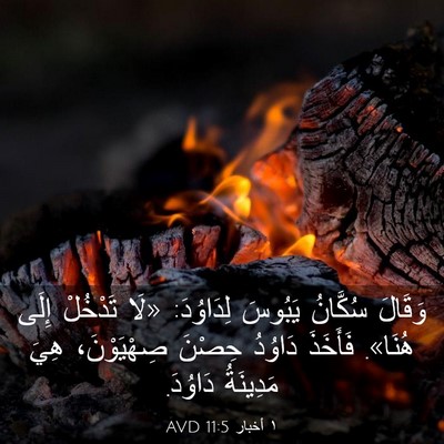 Picture 03 - ١ أخبار 11:5 AVD - وَقَالَ سُكَّانُ يَبُوسَ - Bible Verse Picture