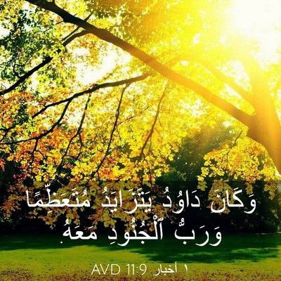 Picture 03 - ١ أخبار 11:9 AVD - وَكَانَ دَاوُدُ - Bible Verse Picture