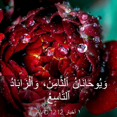 Picture 03 - ١ أخبار 12:12 AVD - وَيُوحَانَانُ ٱلثَّامِنُ، - Bible Verse Picture