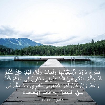 Picture 03 - ١ أخبار 12:17 AVD - فَخَرَجَ دَاوُدُ - Bible Verse Picture