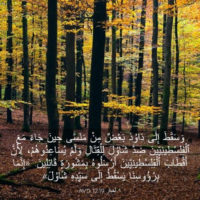 Picture 03 - ١ أخبار 12:19 AVD - وَسَقَطَ إِلَى دَاوُدَ - Bible Verse Picture