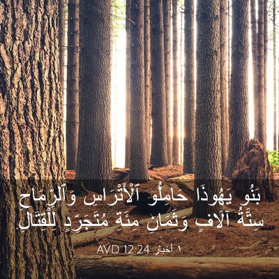 Picture 03 - ١ أخبار 12:24 AVD - بَنُو يَهُوذَا حَامِلُو - Bible Verse Picture