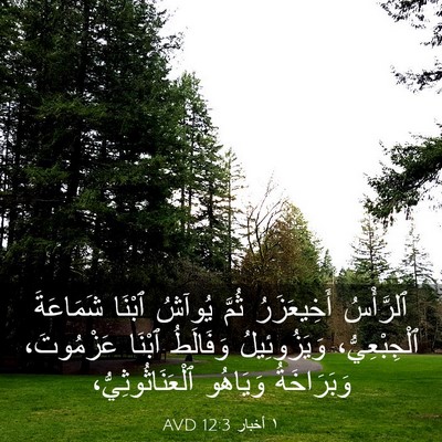 Picture 03 - ١ أخبار 12:3 AVD - ٱلرَّأْسُ أَخِيعَزَرُ - Bible Verse Picture