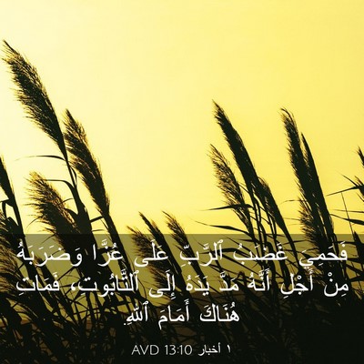 Picture 03 - ١ أخبار 13:10 AVD - فَحَمِيَ غَضَبُ ٱلرَّبِّ - Bible Verse Picture