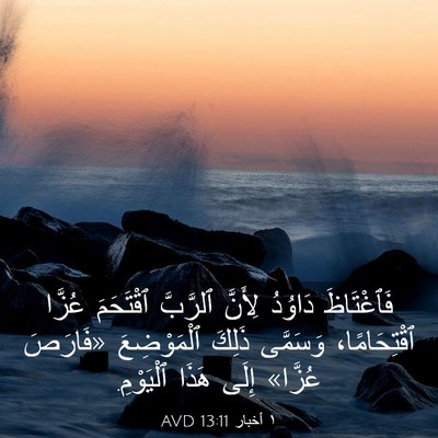 Picture 03 - ١ أخبار 13:11 AVD - فَٱغْتَاظَ دَاوُدُ - Bible Verse Picture