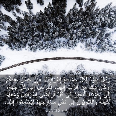 Picture 03 - ١ أخبار 13:2 AVD - وَقَالَ دَاوُدُ لِكُلِّ - Bible Verse Picture