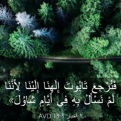 Picture 03 - ١ أخبار 13:3 AVD - فَنُرْجِعَ تَابُوتَ - Bible Verse Picture