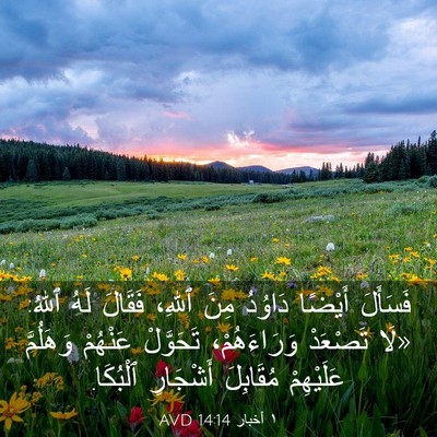 Picture 03 - ١ أخبار 14:14 AVD - فَسَأَلَ أَيْضًا دَاوُدُ - Bible Verse Picture