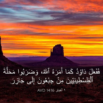 Picture 03 - ١ أخبار 14:16 AVD - فَفَعَلَ دَاوُدُ كَمَا - Bible Verse Picture