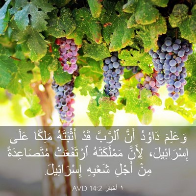 Picture 03 - ١ أخبار 14:2 AVD - وَعَلِمَ دَاوُدُ أَنَّ - Bible Verse Picture