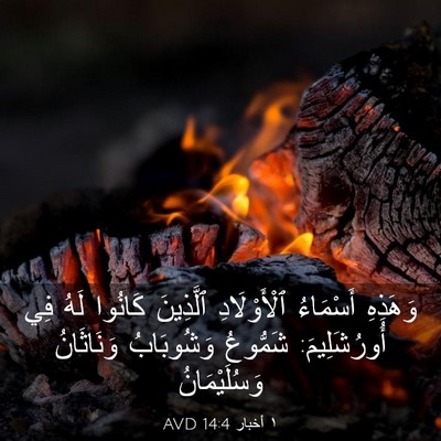 Picture 03 - ١ أخبار 14:4 AVD - وَهَذِهِ أَسْمَاءُ - Bible Verse Picture