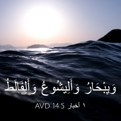 Picture 03 - ١ أخبار 14:5 AVD - وَيِبْحَارُ وَأَلِيشُوعُ - Bible Verse Picture