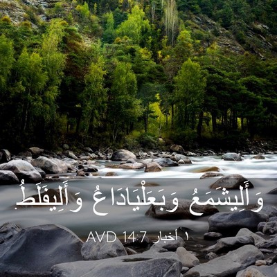 Picture 03 - ١ أخبار 14:7 AVD - وَأَلِيشَمَعُ - Bible Verse Picture
