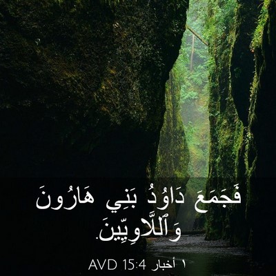 Picture 03 - ١ أخبار 15:4 AVD - فَجَمَعَ دَاوُدُ بَنِي - Bible Verse Picture