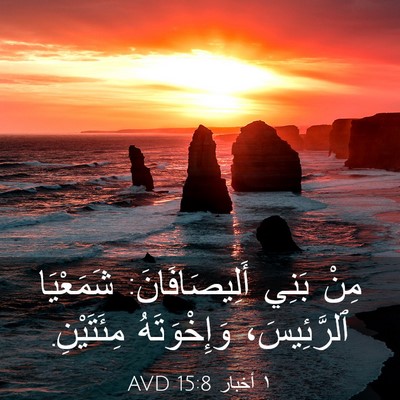 Picture 03 - ١ أخبار 15:8 AVD - مِنْ بَنِي أَلِيصَافَانَ: - Bible Verse Picture