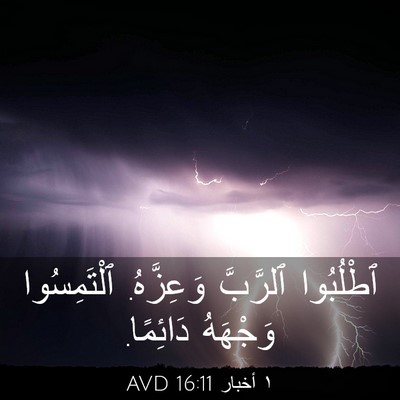 Picture 03 - ١ أخبار 16:11 AVD - ٱطْلُبُوا ٱلرَّبَّ - Bible Verse Picture