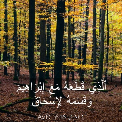 Picture 03 - ١ أخبار 16:16 AVD - ٱلَّذِي قَطَعَهُ مَعَ - Bible Verse Picture