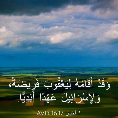 Picture 03 - ١ أخبار 16:17 AVD - وَقَدْ أَقَامَهُ - Bible Verse Picture