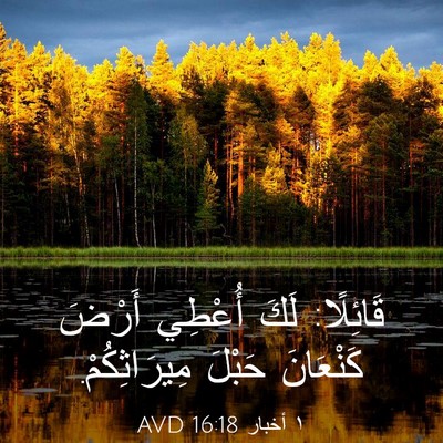 Picture 03 - ١ أخبار 16:18 AVD - قَائِلًا: لَكَ أُعْطِي - Bible Verse Picture